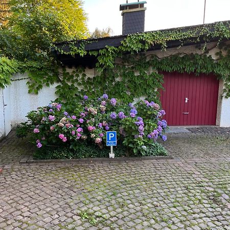 1 Zimmer Whg Waldfischbach Værelse billede