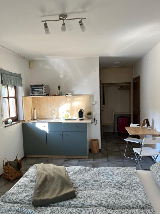 1 Zimmer Whg Waldfischbach Eksteriør billede
