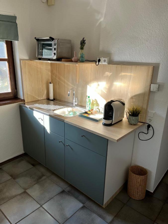 1 Zimmer Whg Waldfischbach Eksteriør billede